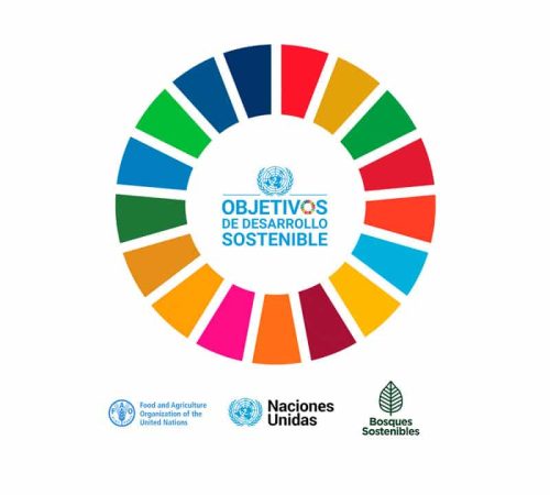 ODS-blog-como-cambiara-el-mundo-bosques-sostenibles-espana